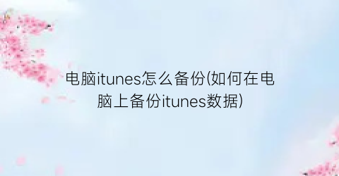 电脑itunes怎么备份(如何在电脑上备份itunes数据)