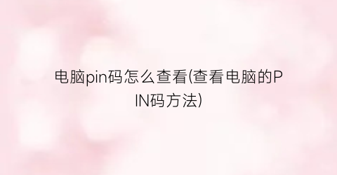 “电脑pin码怎么查看(查看电脑的PIN码方法)