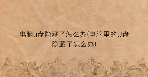 电脑u盘隐藏了怎么办(电脑里的U盘隐藏了怎么办)