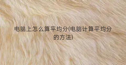 电脑上怎么算平均分(电脑计算平均分的方法)