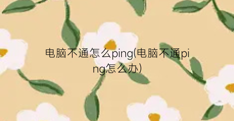 电脑不通怎么ping(电脑不通ping怎么办)