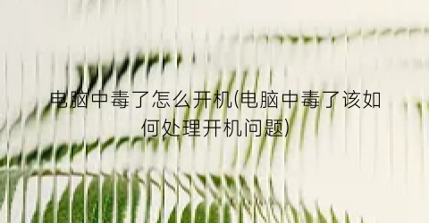 “电脑中毒了怎么开机(电脑中毒了该如何处理开机问题)