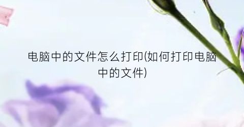 “电脑中的文件怎么打印(如何打印电脑中的文件)