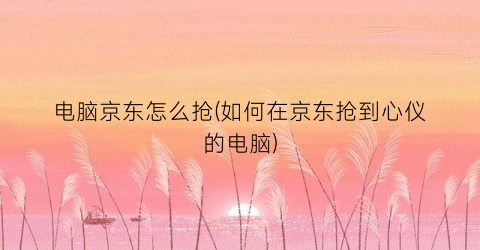 “电脑京东怎么抢(如何在京东抢到心仪的电脑)