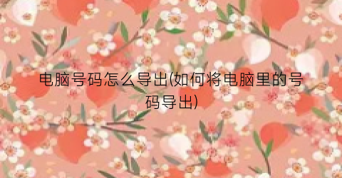 电脑号码怎么导出(如何将电脑里的号码导出)