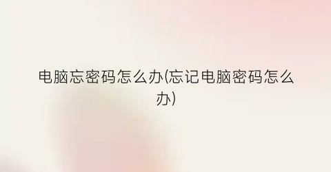 “电脑忘密码怎么办(忘记电脑密码怎么办)