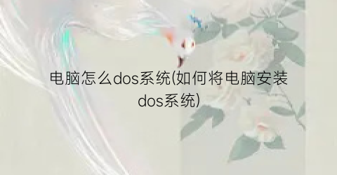 电脑怎么dos系统(如何将电脑安装dos系统)