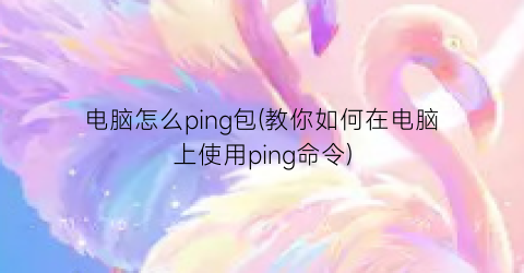 电脑怎么ping包(教你如何在电脑上使用ping命令)