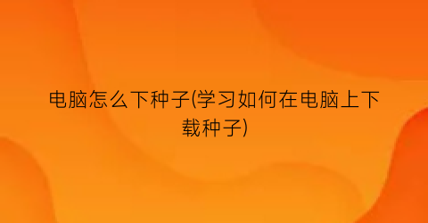 “电脑怎么下种子(学习如何在电脑上下载种子)