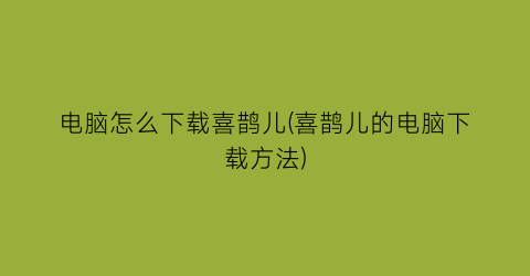 电脑怎么下载喜鹊儿(喜鹊儿的电脑下载方法)