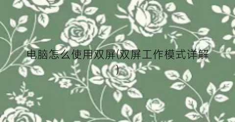 “电脑怎么使用双屏(双屏工作模式详解)