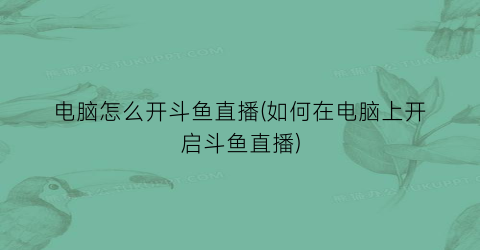 “电脑怎么开斗鱼直播(如何在电脑上开启斗鱼直播)