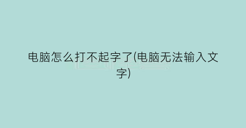 电脑怎么打不起字了(电脑无法输入文字)