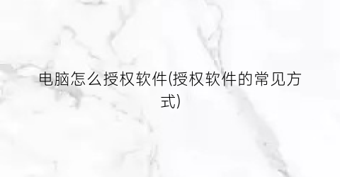 “电脑怎么授权软件(授权软件的常见方式)