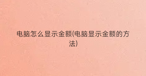 电脑怎么显示金额(电脑显示金额的方法)