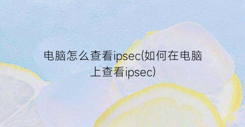 电脑怎么查看ipsec(如何在电脑上查看ipsec)