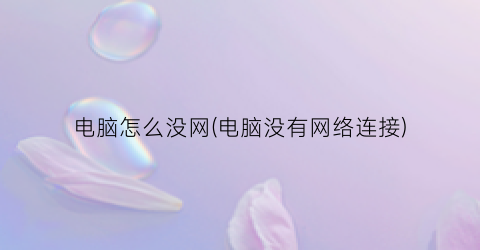 “电脑怎么没网(电脑没有网络连接)