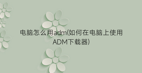 电脑怎么用adm(如何在电脑上使用ADM下载器)