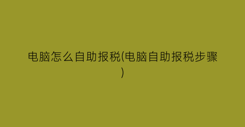 电脑怎么自助报税(电脑自助报税步骤)