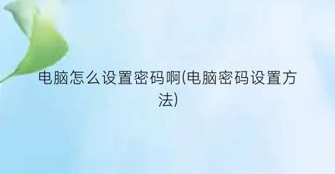 电脑怎么设置密码啊(电脑密码设置方法)