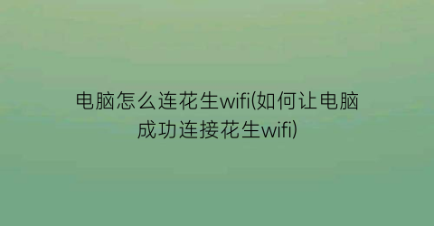 “电脑怎么连花生wifi(如何让电脑成功连接花生wifi)