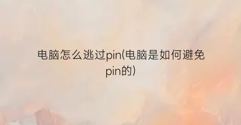 电脑怎么逃过pin(电脑是如何避免pin的)