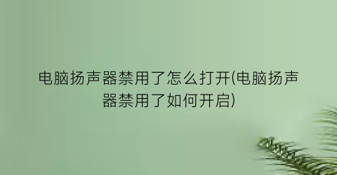 “电脑扬声器禁用了怎么打开(电脑扬声器禁用了如何开启)