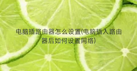 电脑插路由器怎么设置(电脑插入路由器后如何设置网络)