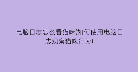 电脑日志怎么看猫咪(如何使用电脑日志观察猫咪行为)