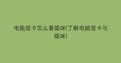 电脑显卡怎么看猫咪(了解电脑显卡与猫咪)