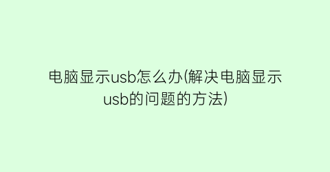 电脑显示usb怎么办(解决电脑显示usb的问题的方法)