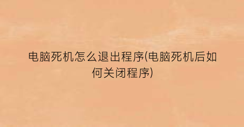 电脑死机怎么退出程序(电脑死机后如何关闭程序)