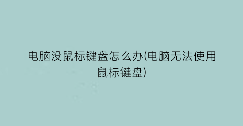 电脑没鼠标键盘怎么办(电脑无法使用鼠标键盘)