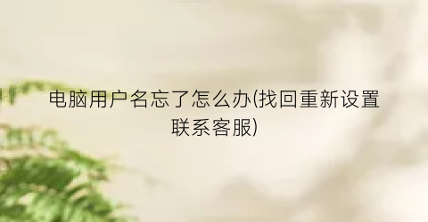 电脑用户名忘了怎么办(找回重新设置联系客服)