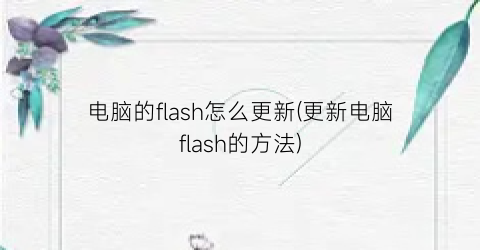 电脑的flash怎么更新(更新电脑flash的方法)
