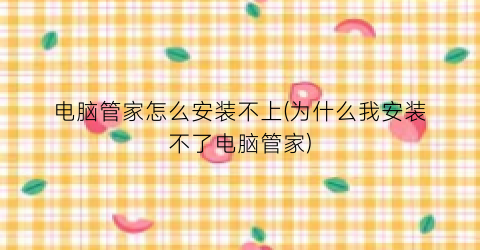 “电脑管家怎么安装不上(为什么我安装不了电脑管家)