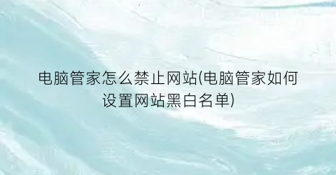 电脑管家怎么禁止网站(电脑管家如何设置网站黑白名单)