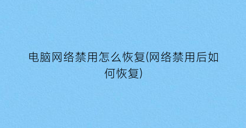 电脑网络禁用怎么恢复(网络禁用后如何恢复)