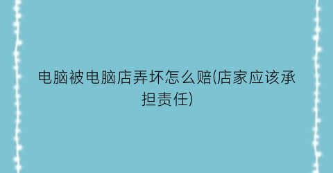 电脑被电脑店弄坏怎么赔(店家应该承担责任)