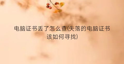 电脑证书丢了怎么查(失落的电脑证书该如何寻找)