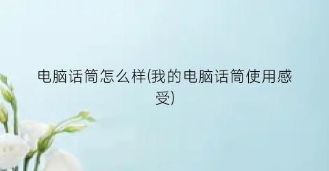 “电脑话筒怎么样(我的电脑话筒使用感受)