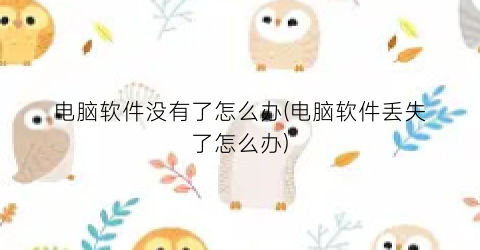 “电脑软件没有了怎么办(电脑软件丢失了怎么办)