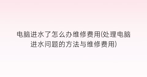 电脑进水了怎么办维修费用(处理电脑进水问题的方法与维修费用)