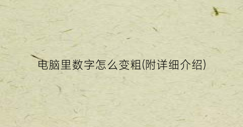 电脑里数字怎么变粗(附详细介绍)