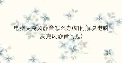 “电脑麦克风静音怎么办(如何解决电脑麦克风静音问题)