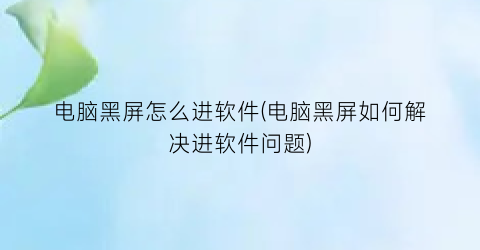 “电脑黑屏怎么进软件(电脑黑屏如何解决进软件问题)