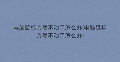 “电脑鼠标突然不动了怎么办(电脑鼠标突然不动了怎么办)