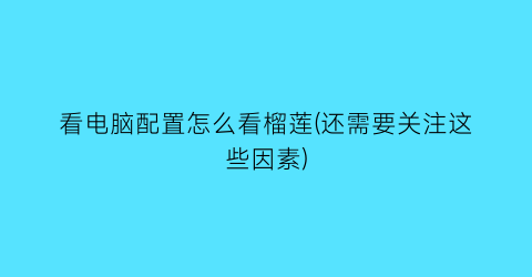 看电脑配置怎么看榴莲(还需要关注这些因素)