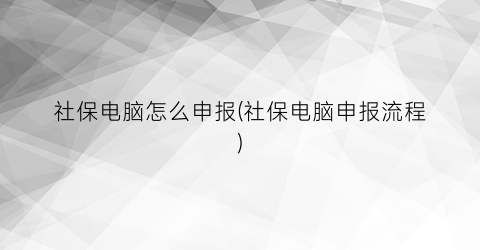 “社保电脑怎么申报(社保电脑申报流程)