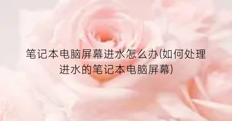 笔记本电脑屏幕进水怎么办(如何处理进水的笔记本电脑屏幕)